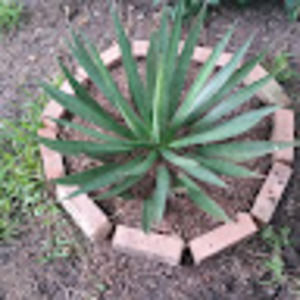 Meet your Posher, Carla